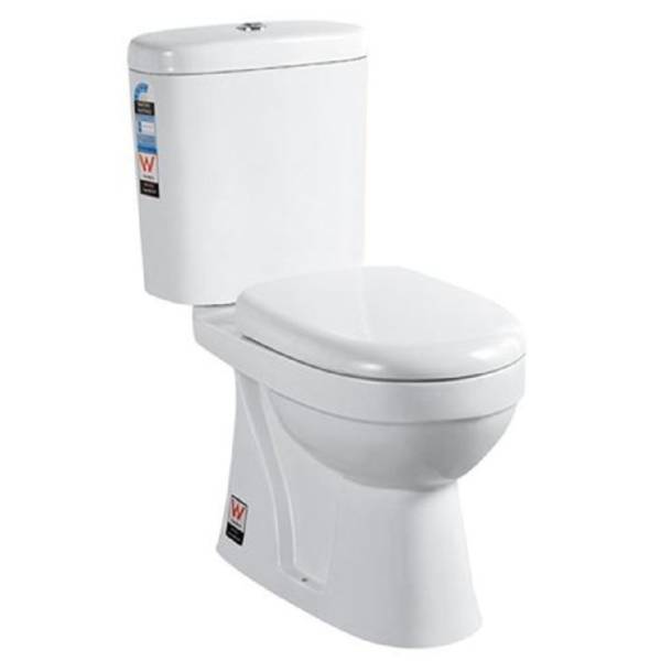 Washdown  Two Piece Toilet-P Trap