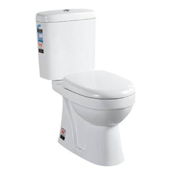 Washdown Two Piece Toilet-S Trap